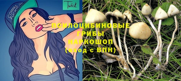 spice Алзамай