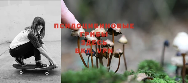 spice Алзамай