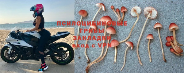 spice Алзамай