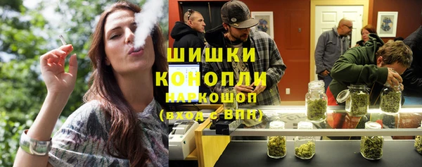 spice Алзамай
