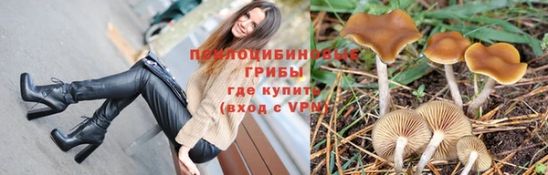 spice Алзамай