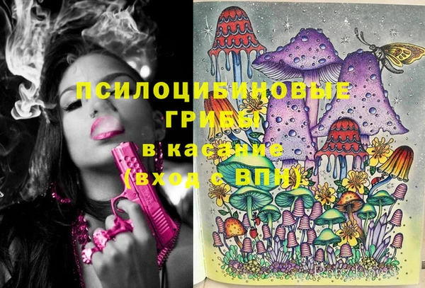 сатива Абинск